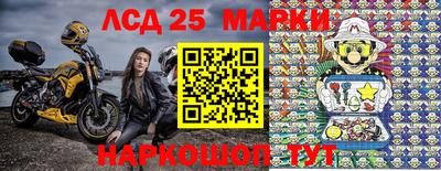гашик Будённовск