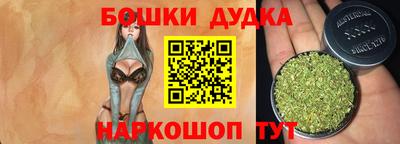 гашик Будённовск