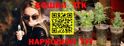 гашик Будённовск