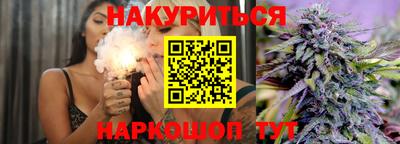 гашик Будённовск