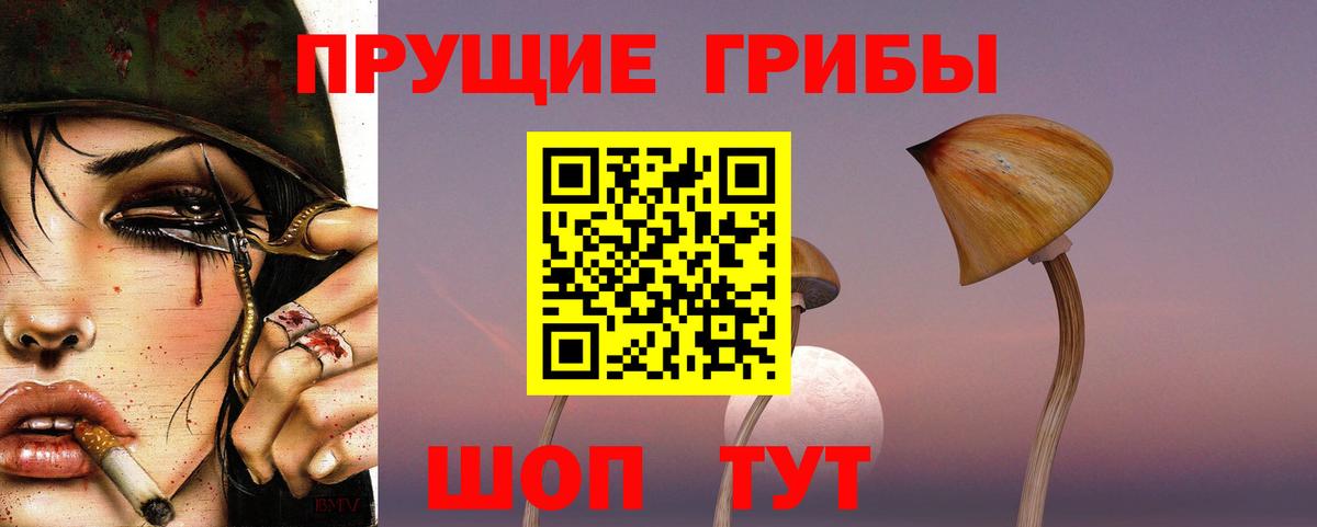 Омск  Псилоцибиновые грибы MAGIC MUSHROOMS  как найти закладки  Вход с VPN 