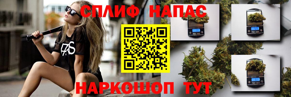 Бошки Шишки White Widow  Бошки марихуана план  Бошки марихуана индика  Вход с VPN  Омск 